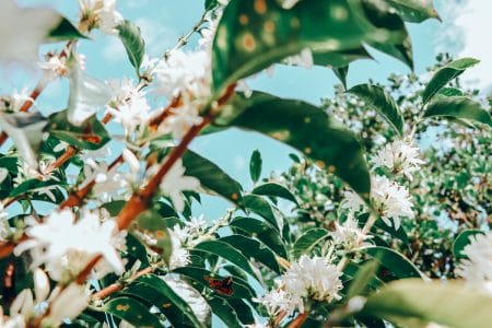 BacktoBlack_DiegoParaiso